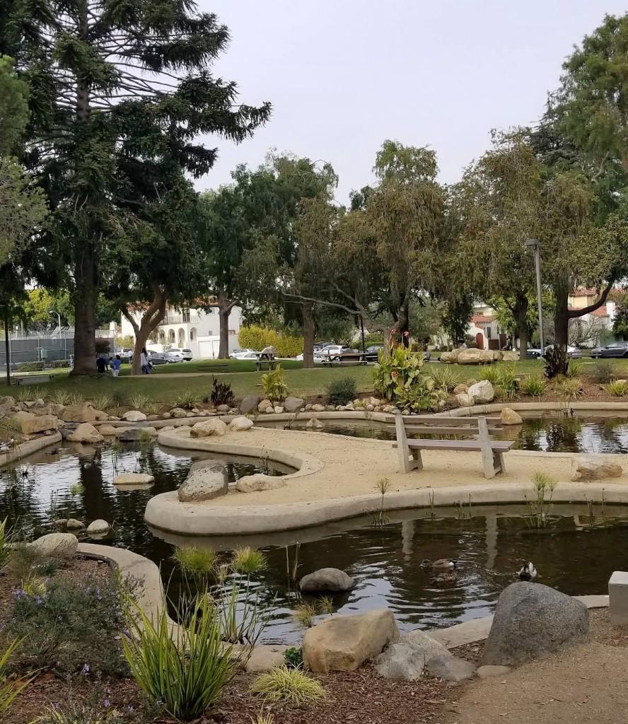 Duck Pond & Brunch Adventure