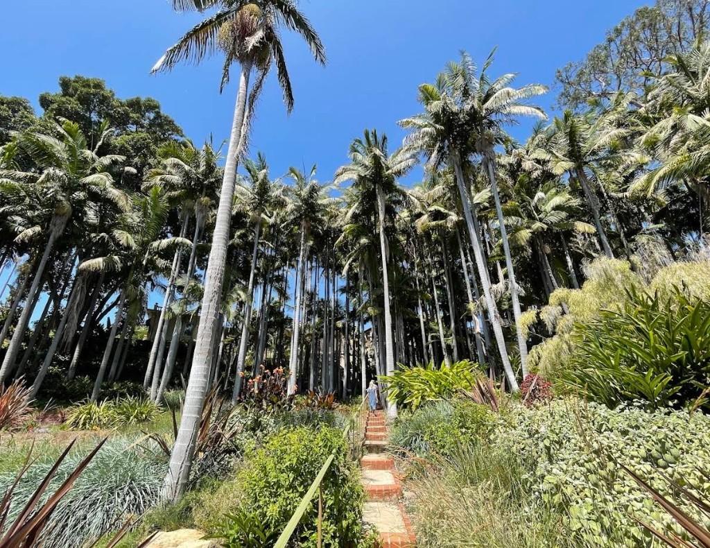 Secret Garden Adventure