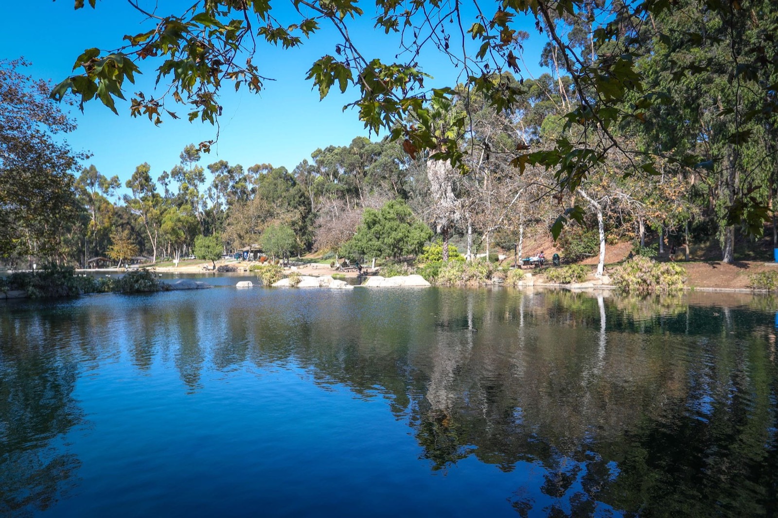 LA Stroll Society — Saturday Stroll at Kenneth Hahn at Kenneth Hahn State Recreation Area